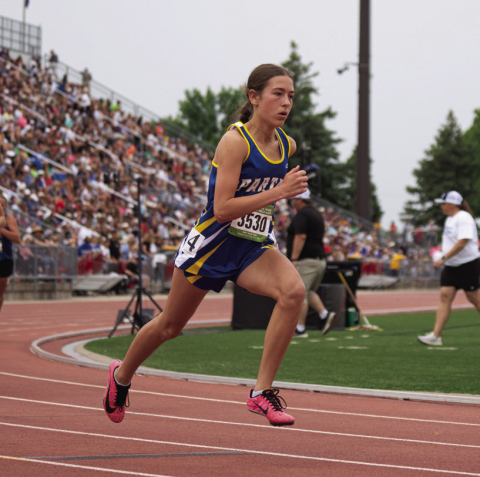 State Success: Spartans Earn Four Medals, Rewrite Record Book