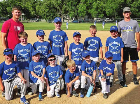 Little League baseball players, coaches celebrate successful summer season