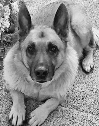 Ajax