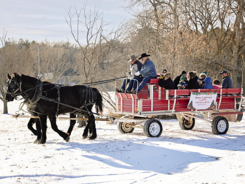 A horse-drawn wagon makes its way through a snow-covered city park during last year’s event. The popular tradition returns for the 2025 Winter Magic in the Park kick off. 