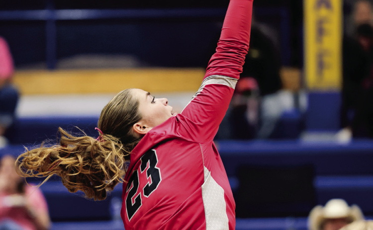 Volley for a Cure Brings Community Together
