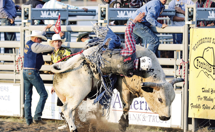Bucking bulls and good times scheduled for September 10