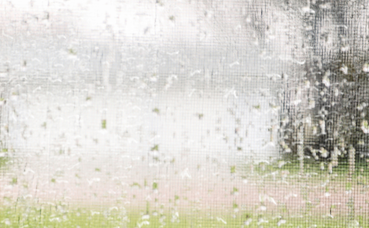 Widespread rain drenched the drought-stricken region over the weekend.