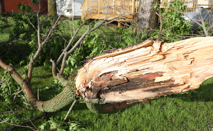 Local area avoids most severe storms