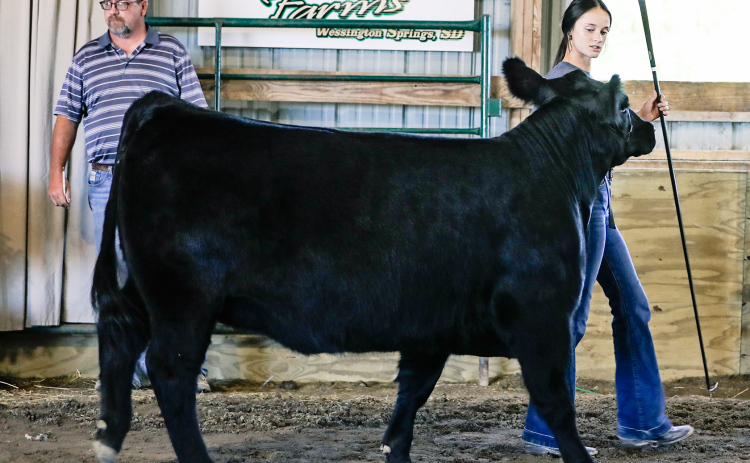 Kindra Wolter: Breeding Beef-Purple, Reserve Champion