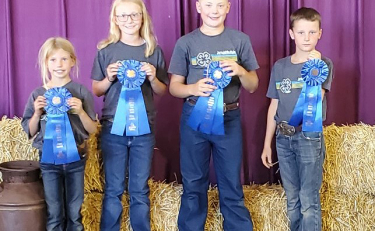 Crawleigh Reiner, Lily Roesler, Wyatt Fagerhaug, Hastin Heezen - 1st Place Beginner Horse Judging Team.