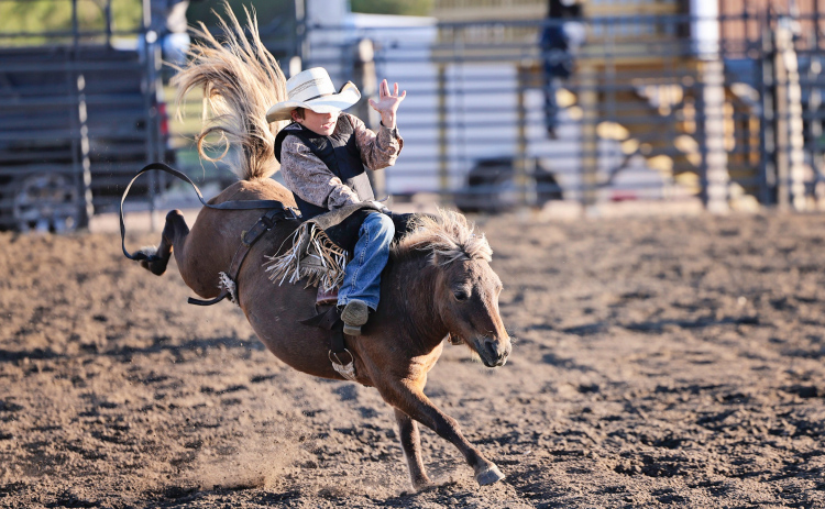 Young cowboys and cowgirls took center stage at the first-ever Bad River Youth Rough Stock Rodeo in Wessington Springs on Sept. 6, drawing nearly 500 spectators and showcasing the next generation of rodeo talent. Tatyn Hins competed in the Bareback, Saddle Bronc and Bull riding events in the 6-8 age category.