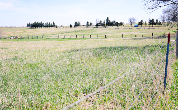 A portion of the proposed site for a cryptocurrency mining facility north of Prospect Hill Cemetery is shown. The project will not move forward after power capacity limitations were identified.