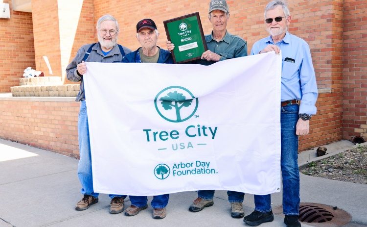 Tree City USA Committee Invites Community to Explore Local Trees