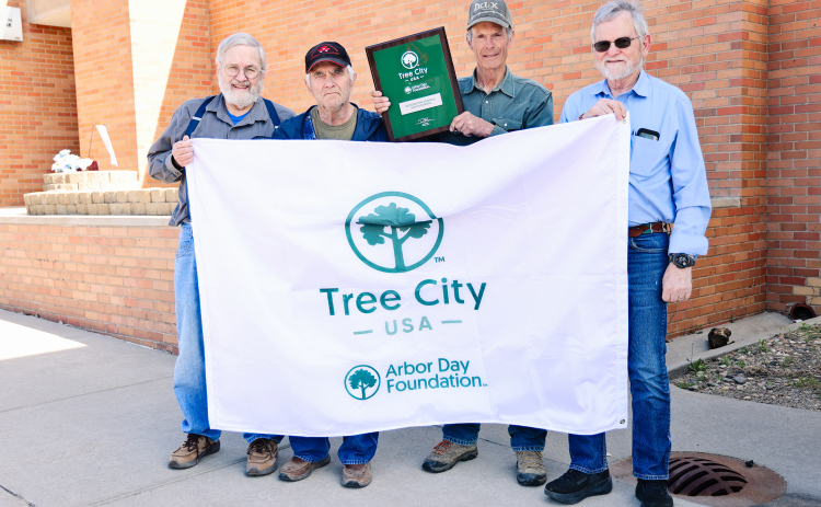 Tree City USA Committee Invites Community to Explore Local Trees
