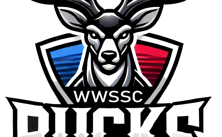 Bucks show progress despite loss to Chamberlain