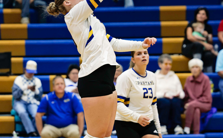 Raygen Teveldal finished the match with seven attacks, seven digs and three service aces in the 25-17, 25-18, 25-17 victory.