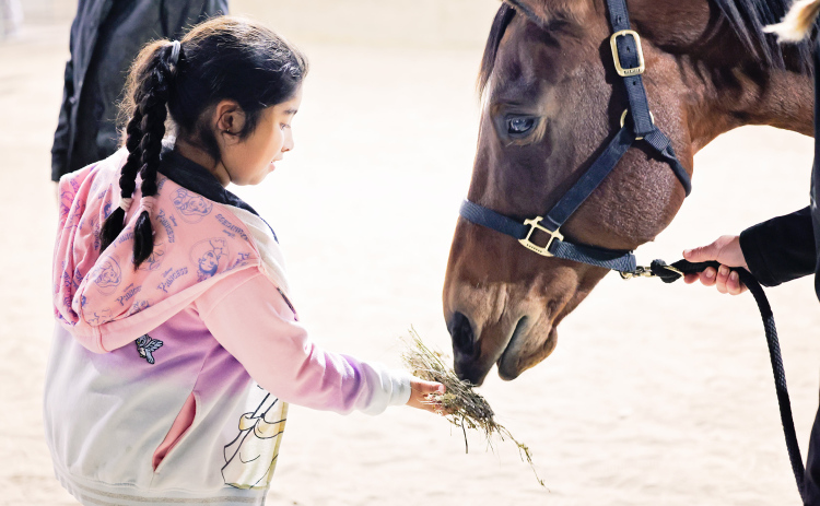 Wessington Springs Elementary students enjoyed some hands-on fun during the first annual FFA Petting Zoo. Pictured, Mariza Ochoa feeds Star, Ella Kolousek’s quarter horse.