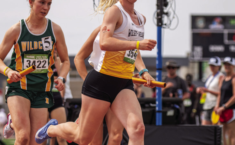 Warbirds Earn Medals, Top-20 Finish at State Track Meet