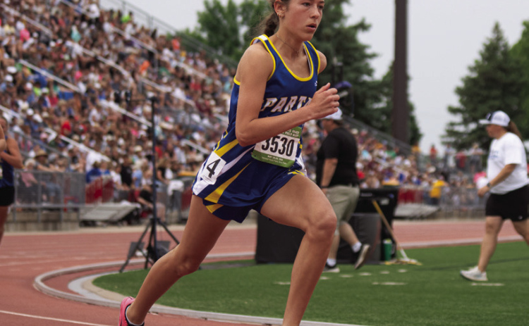 State Success: Spartans Earn Four Medals, Rewrite Record Book
