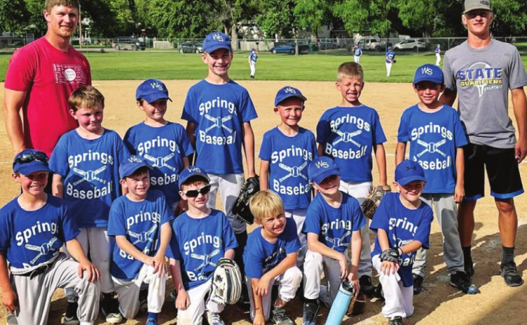 Little League baseball players, coaches celebrate successful summer season