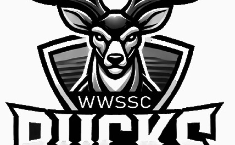Bucks show progress despite loss to Chamberlain