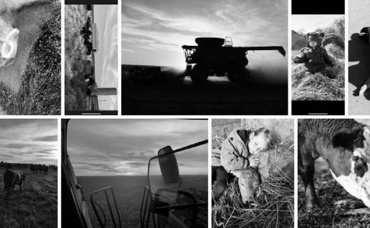 Celebrating Life on the Family Farm and Ranch Photo Contest