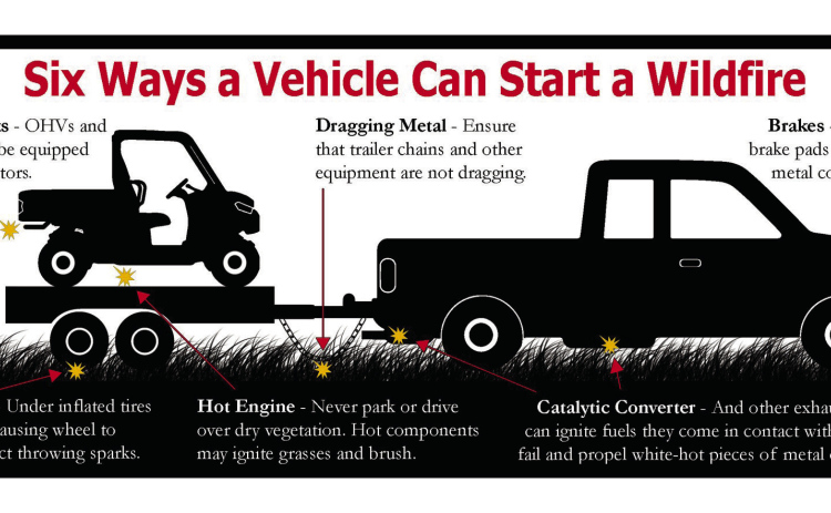 Image Courtesy: U.S. Forest Service - Black Hills National Forest