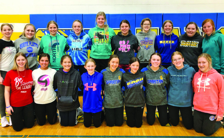 WSHS girls' 2023 track & field team