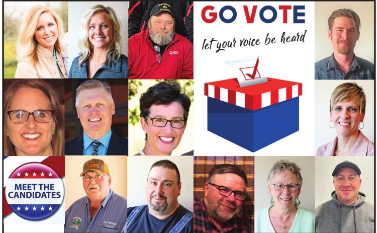 Elections for School Board, Municipalities of Wessington Springs and Alpena Scheduled for April 12