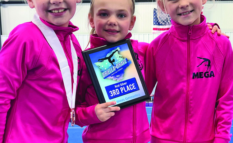 Local gymnasts tumble toward success at state competition